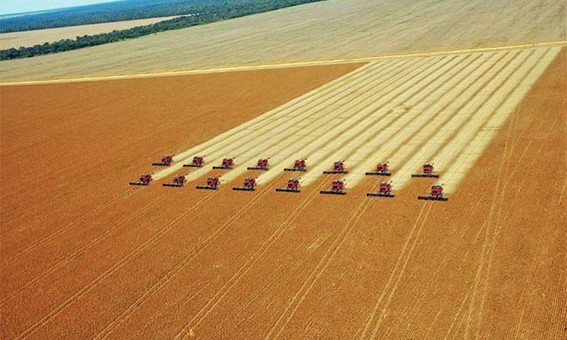 Mato Grosso finaliza colheita de 9 milhÃµes de hectares de soja