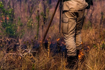 PerÃ­odo restritivo das queimadas tem inÃ­cio e vai atÃ© setembro em MT