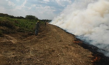 IncÃªndio atinge maior reserva particular do paÃ­s localizada no Pantanal em MT