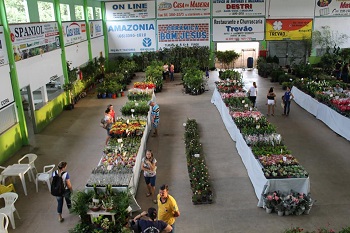 Lions Clube realiza 3Â° Festival de Flores de MatupÃ¡