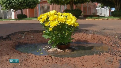 Mulheres plantam flores em buracos em frente casa de prefeito 