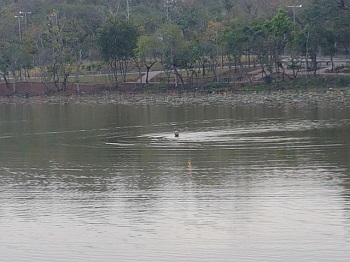 LadrÃ£o pula algemado em lagoa de parque durante fuga e Ã© preso em CuiabÃ¡