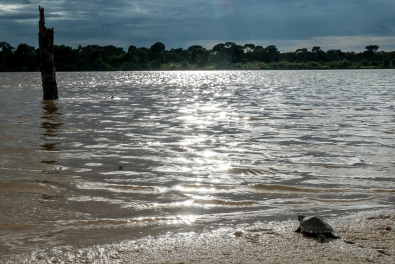 Pesca Ã© liberada em todos os rios de MT