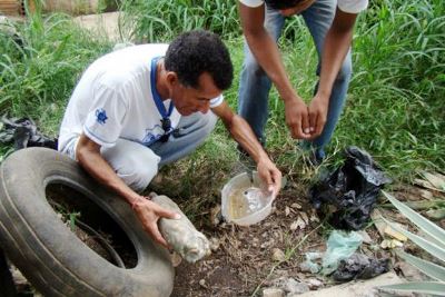 Estado investiga dez casos suspeitos de dengue e acumula 4,3 mil registros