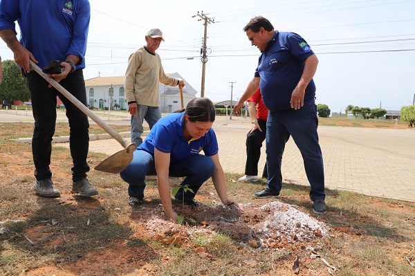 Rotary e SEMMA Matupá fazem plantio de árvores 