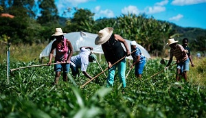 Agricultura familiar foi responsÃ¡vel por R$ 80 mi em financiamentos em MT