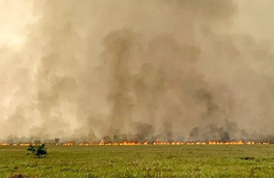 Incêndios podem ter degradado 9% do Pantanal nos últimos cinco anos