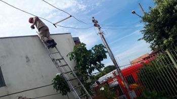 Abelhas atacam 4 idosos em casa em RondonÃ³polis