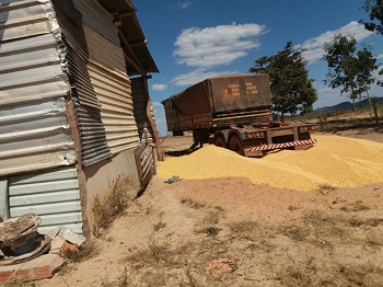 PolÃ­cia encontra droga, armas, cargas e caminhÃµes roubados em fazenda de MT