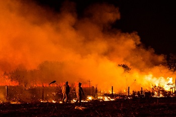 PerÃ­odo proibitivo das queimadas comeÃ§a no sÃ¡bado em Mato Grosso