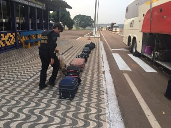 Mulher Ã© presa com droga na fralda de bebÃª 