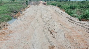 PONTES E PONTILHÃ•ES DA GLEBA LIBERDADE ESTÃƒO SENDO RECUPERADOS EM MATUPÃ