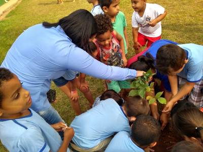 Dia Mundial da Árvore é comemorado com ações educativas e ambientais