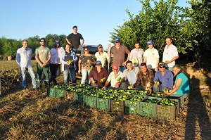 Produtores de LimÃ£o Taiti do Vale do Peixoto participam de Dia de Campo