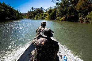 ApreensÃ£o de peixes em MT ultrapassa em 360% a de 2016