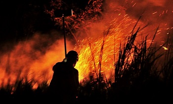 Com 5 incÃªndios florestais em andamento MT pode estender perÃ­odo proibitivo de queimadas